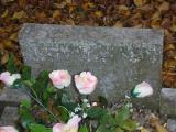 image of grave number 57020
